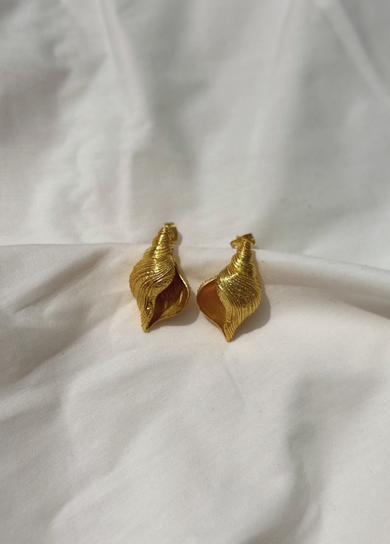 Conch Studs