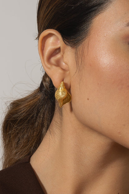 Conch Studs