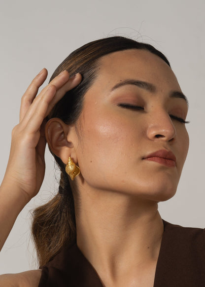 Conch Studs