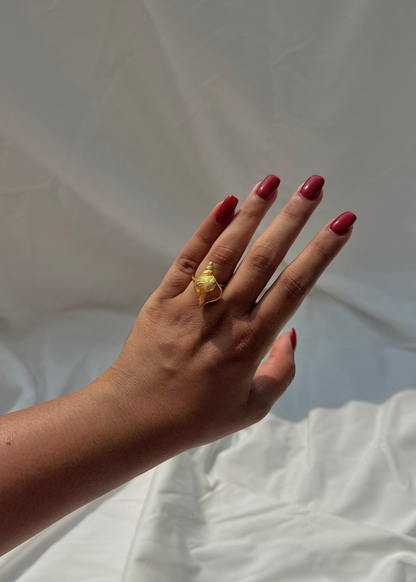 Conch Ring